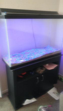 50 gallon fish tank