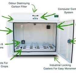 Northern Lights Best Hydroponic Grow System