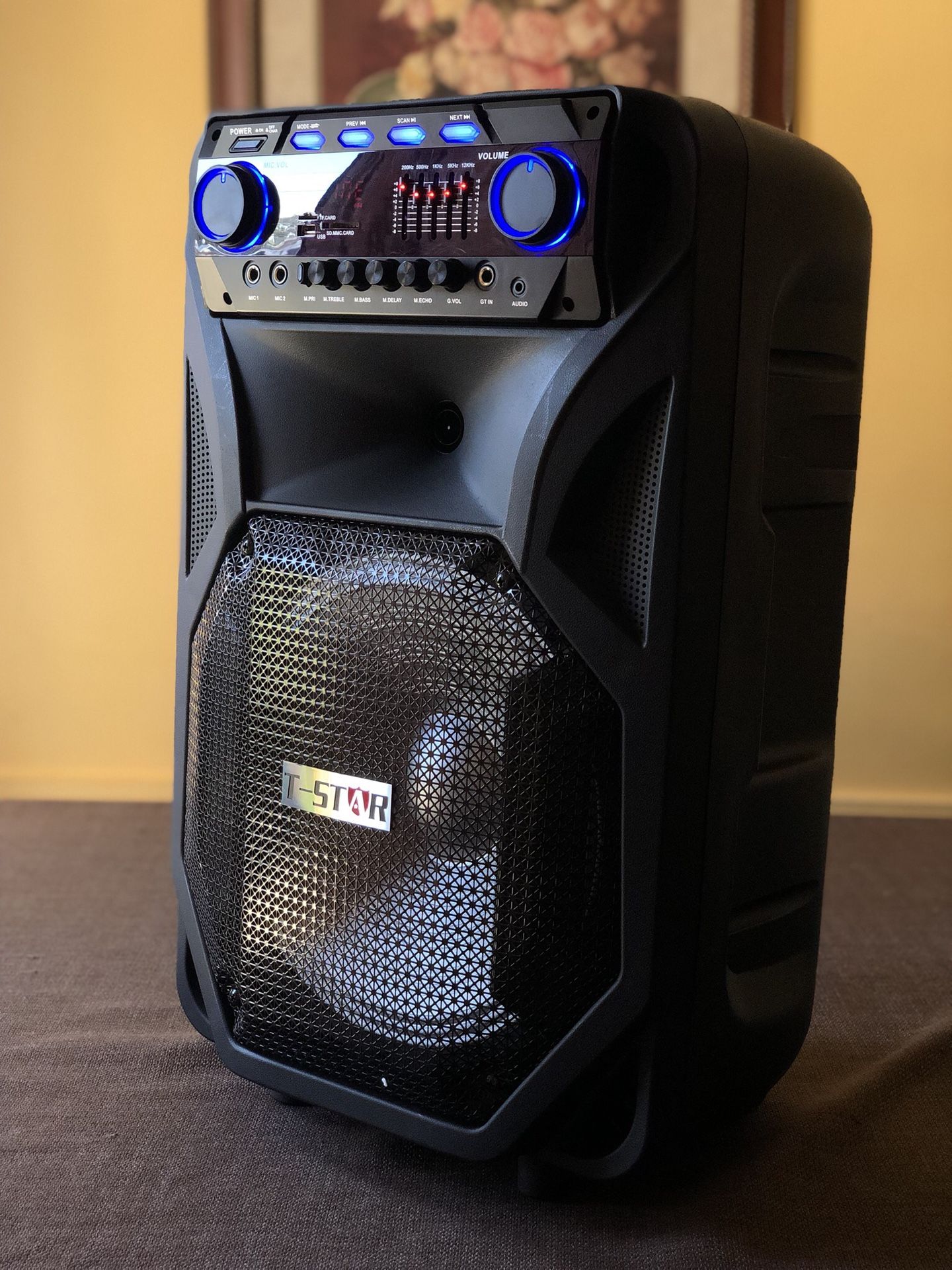 5000 watts Portable Bluetooth Karaoke Speaker System