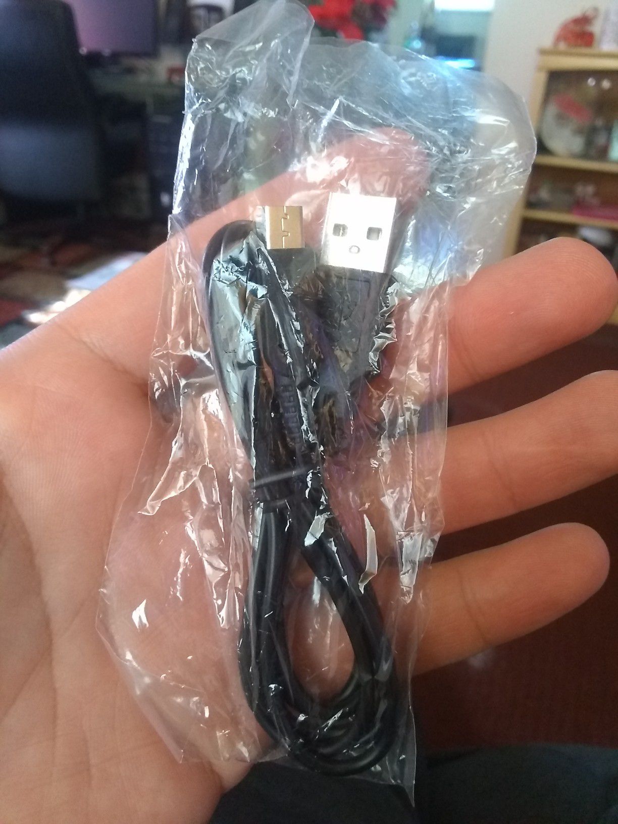 Nintendo 3DS USB Charger