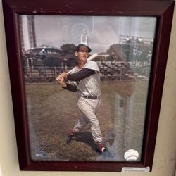 Ted Williams Cooperstown Color Framed MLB Holo Cert. Framed 8x10