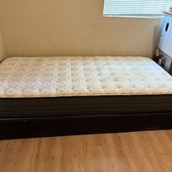 Twin bed And Frame