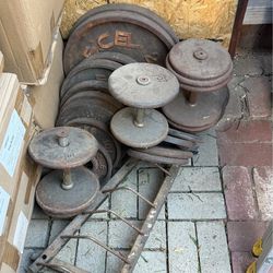 Exercise weights