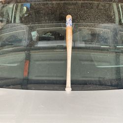 San Diego Padres All Star Mini Bat Game 2016