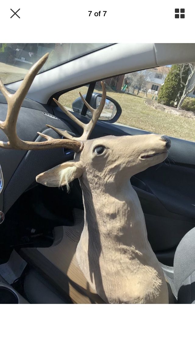 RARE Working Gemmy Animated Talking Trophy Buck Singing Dancing Deer Head