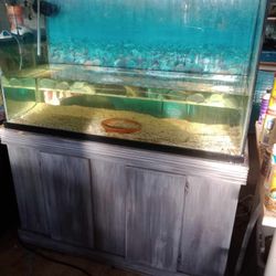 120 Gallón Fish Tank 