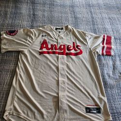 Othani jersey #17 color bage,size large by nike