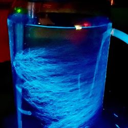 bioluminescent plankton