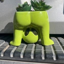 Alien Planter W/ Succulents