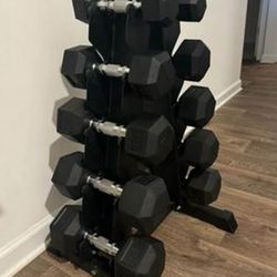 dumbbells with rack 5-25