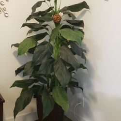 Fake tree( plant) 