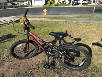 Schwinn bicycle
