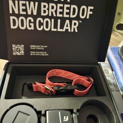 NEW Fi Series 3 Dog Collar Small w/GPS Tracking-Fits 10.5"-13"