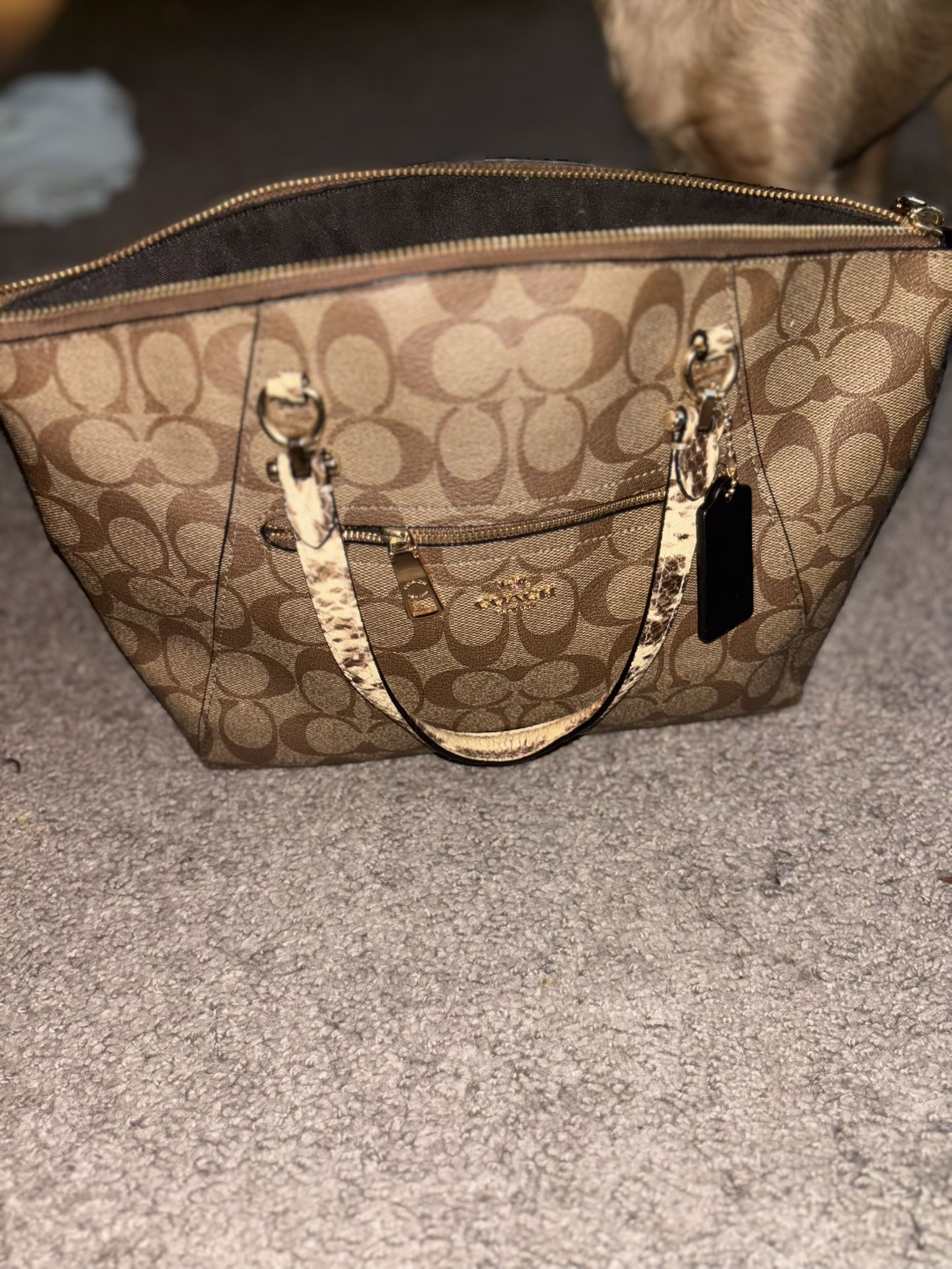 Coach Bag