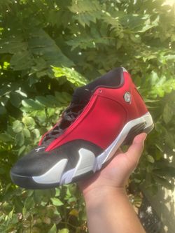 Jordan 14s