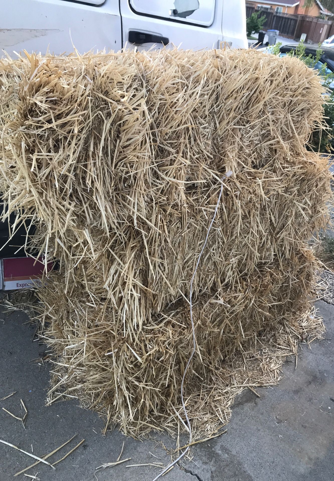 Hay for cow or horse