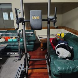 Body Champ power tower