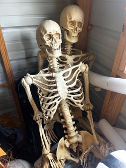 Light up Skeletons