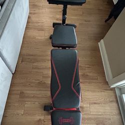 Adjustable Weight Bench - 800 LB Capacity - Home Gym Strength Training