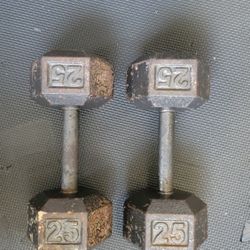 Dumbell 25 Lb (Pair)