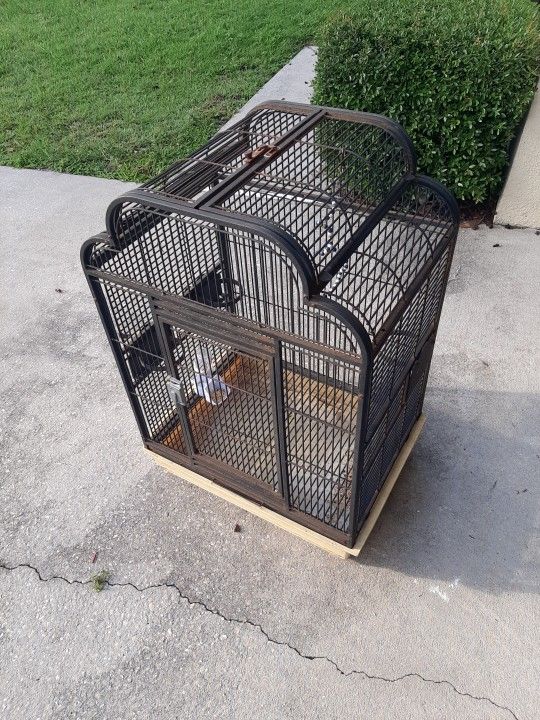 Bird Cage