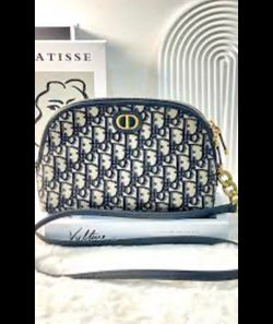 Dior purse