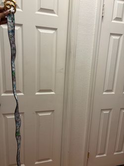 Men’s belt