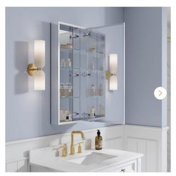 16 in. W x 36 in. H Rectangular Aluminum Medicine Cabinet