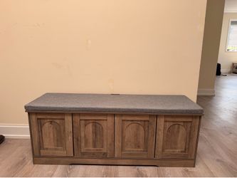 Shoe storage cabinet