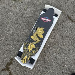 Electric Skateboard