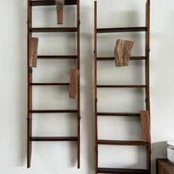 Wood Ladder Plants Holder 