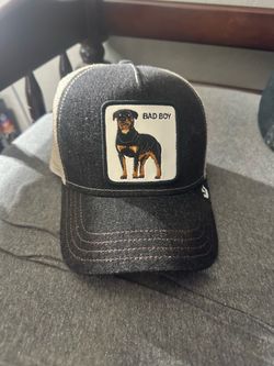 The Farm Goorin Bros Bad Boy hat