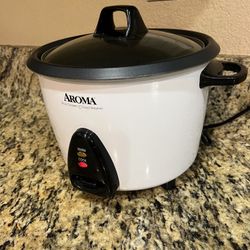 Rice Cooker And Steamer 