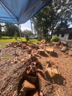 cut and split red oak wood