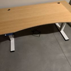 Flexispot Electric Standing Desk 60x30