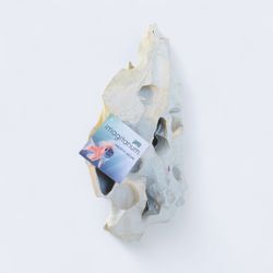 🪨 Imagitarium Texas Holey Rock – Large | Natural Shelter & Stunning Aquascape Element 🪨