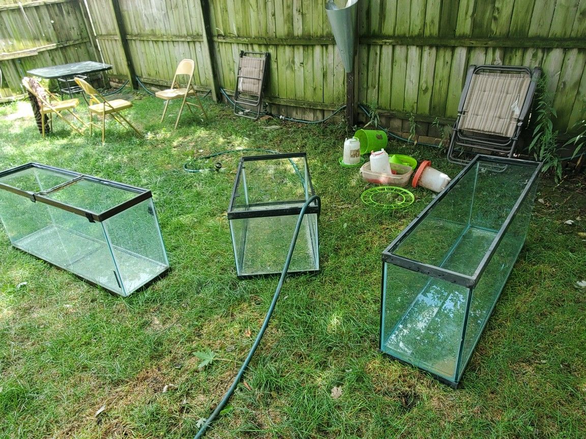 Reptile Tanks
