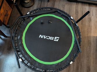 Rebounder/trampoline