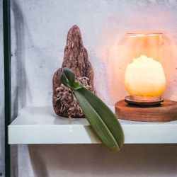 Handmade Wall Mount Orchid 