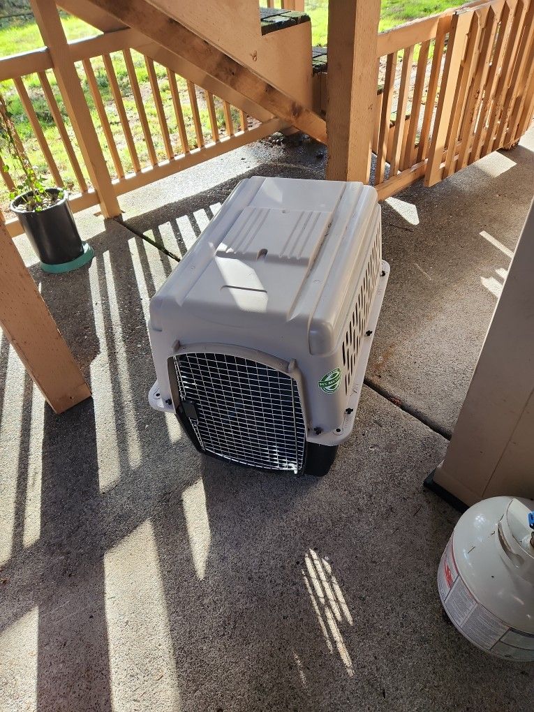 Dog Crate