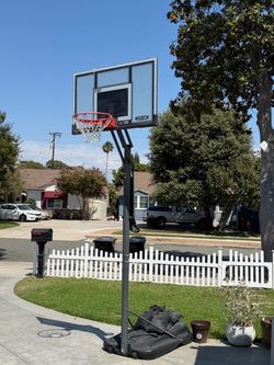 Lifetime Portable Basketball Hoop