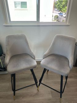 Gray Velvet Chairs
