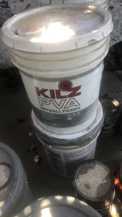 Dry wall primer