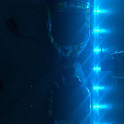 Hoverboard For Sale 30$