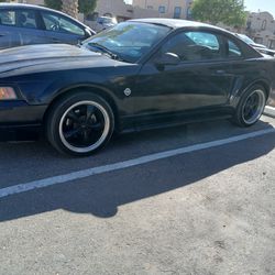 Mustang V6 2004 40th Anniversary 
