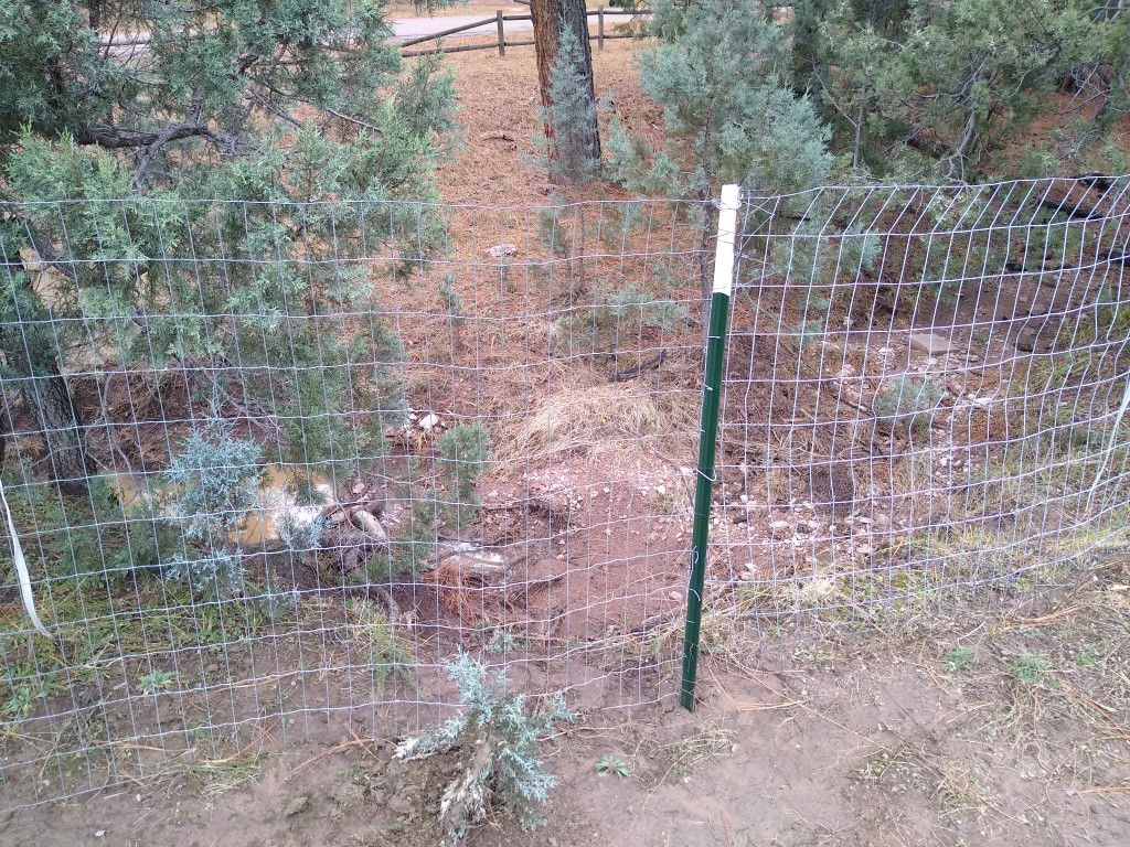 In Need Of Fencing, Payson Area 