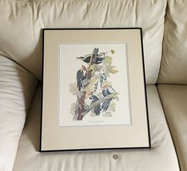 John James Audubon Pileated Woodpecker National Gallery of Art Framed Vintage Print