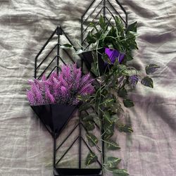 Hanging Planter + Plants