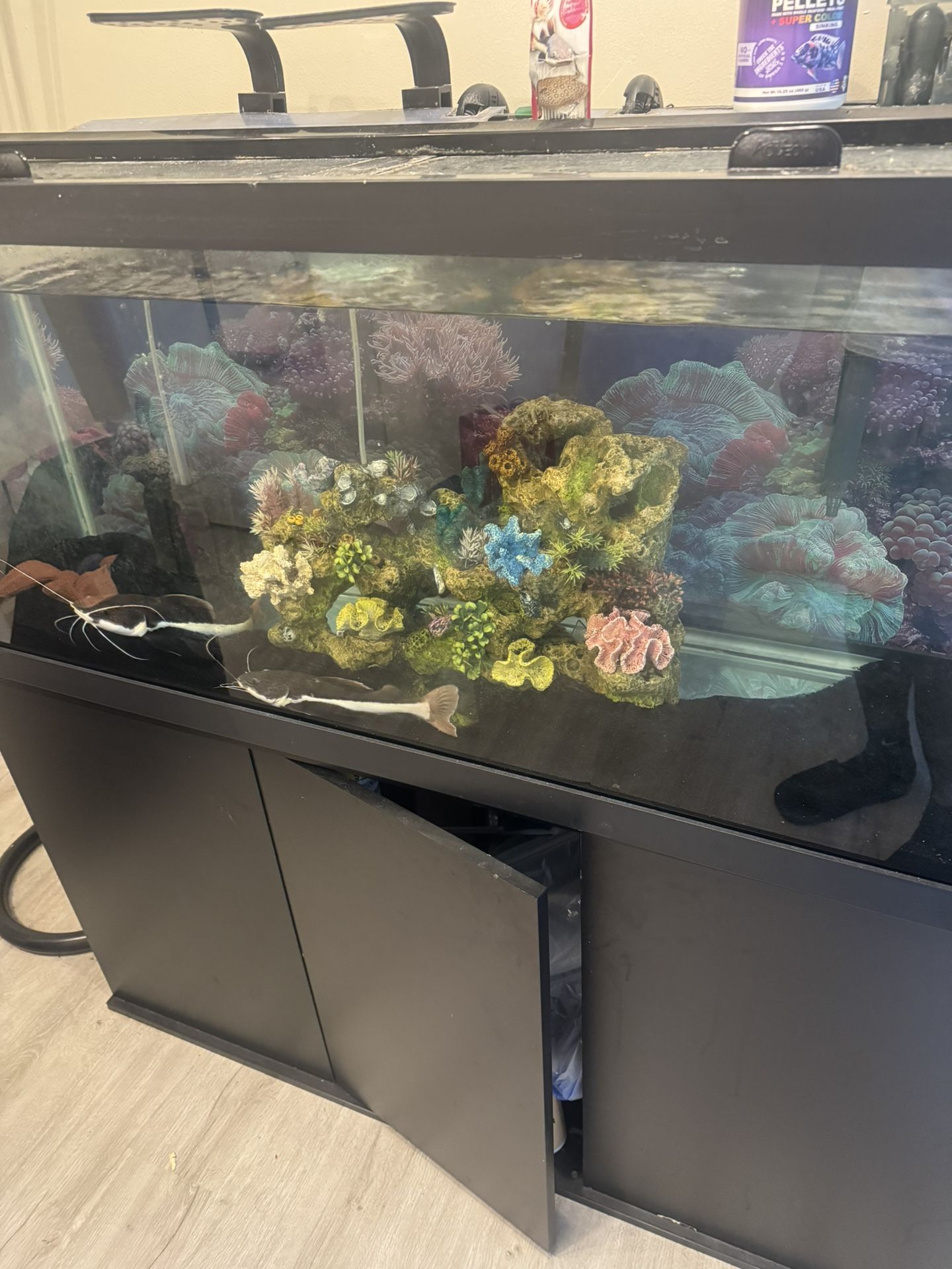 75 Gal Fish tank with stand and filtration