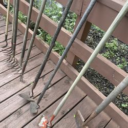Lots Of Shovels And Other Similar Yard Tools